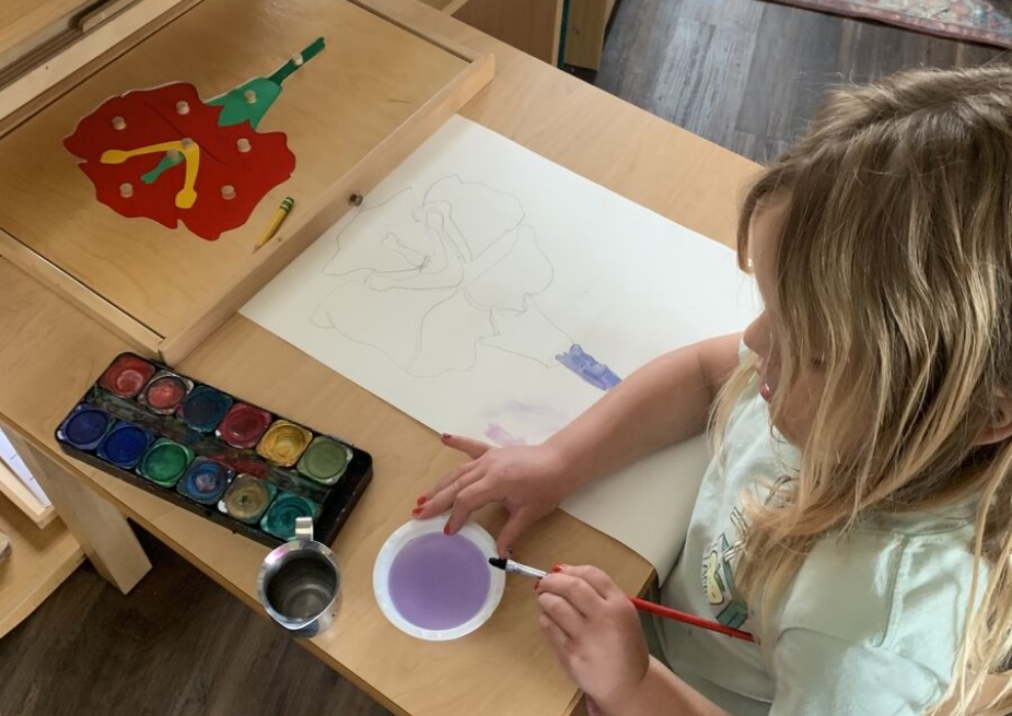 Primary Program